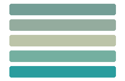 Partner organization